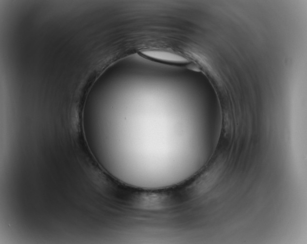 X0000089890453200707121834