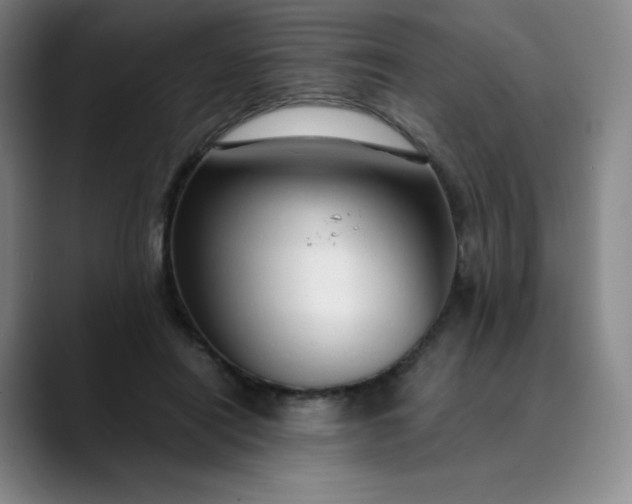 X0000089890454200707121834