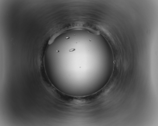 X0000089890455200707121834