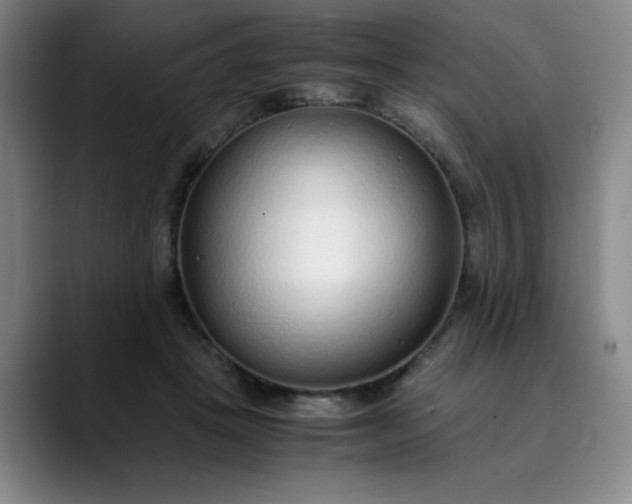 X0000089890457200707121834