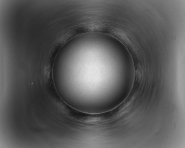 X0000089890458200707121834