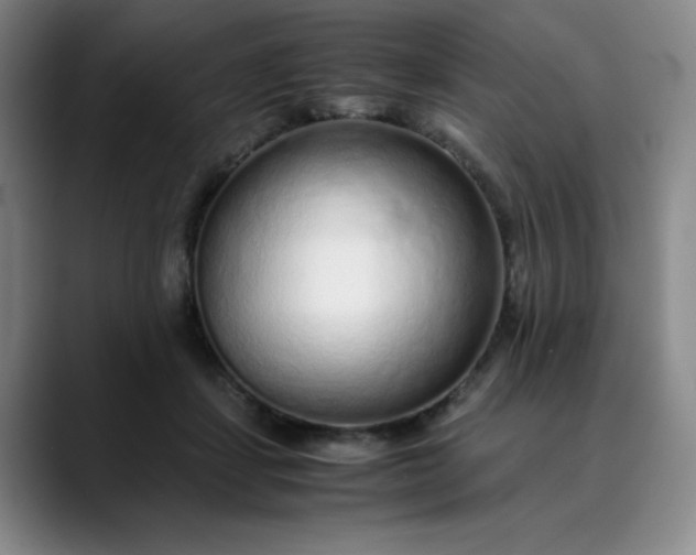 X0000089890459200707121834