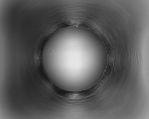 X0000089890460200707121834