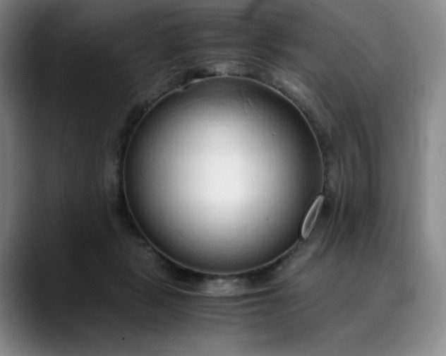 X0000089890461200707121834