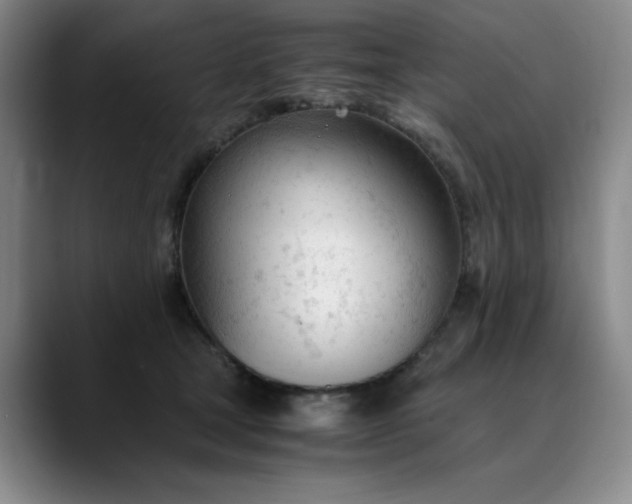 X0000089890465200707121834