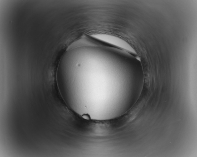 X0000089890466200707121834