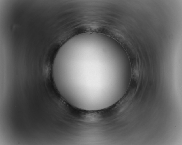 X0000089890468200707121834