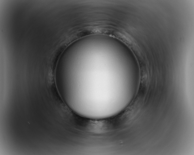 X0000089890469200707121834