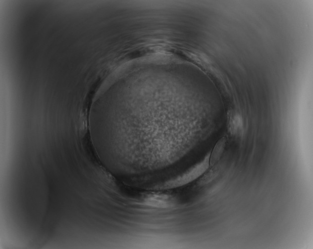 X0000089890471200707121834