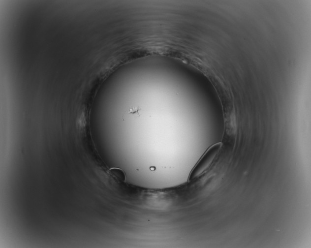 X0000089890472200707121834