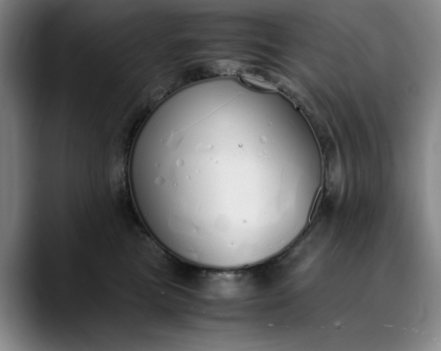 X0000089890473200707121834