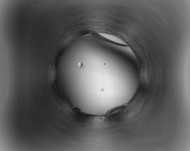 X0000089890474200707121834