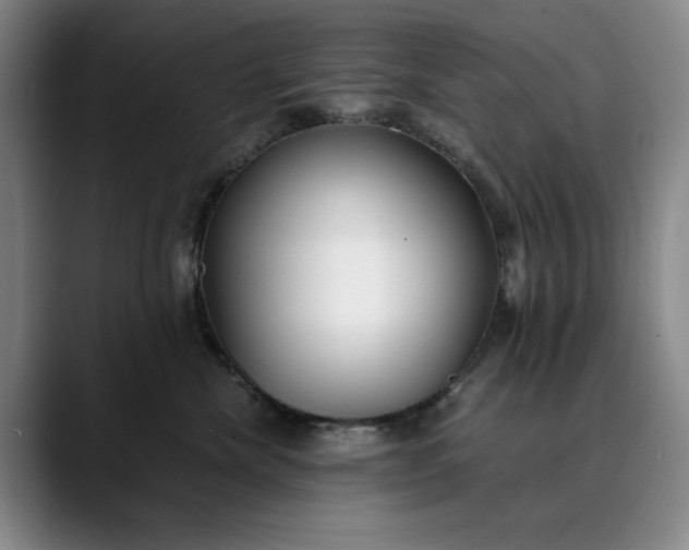 X0000089890476200707121834