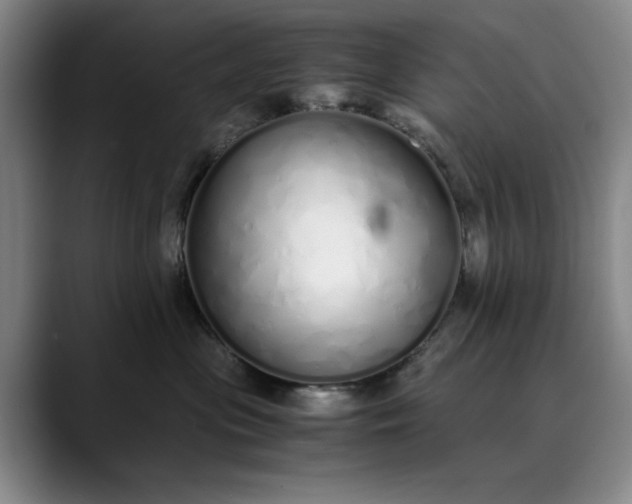 X0000089890477200707121834