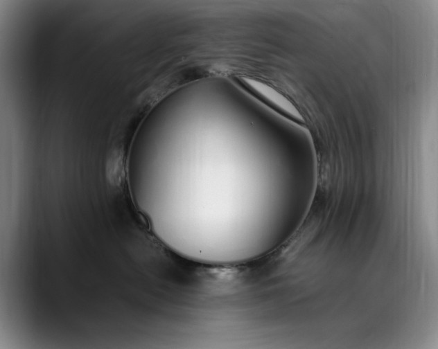 X0000089890478200707121834