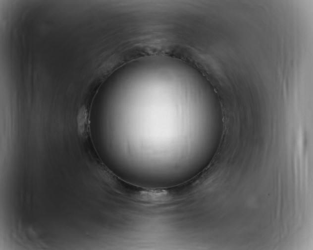 X0000089890480200707121834