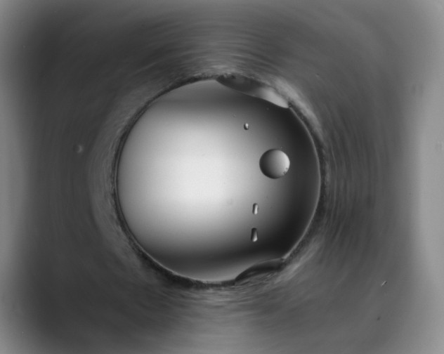 X0000089890481200707121834