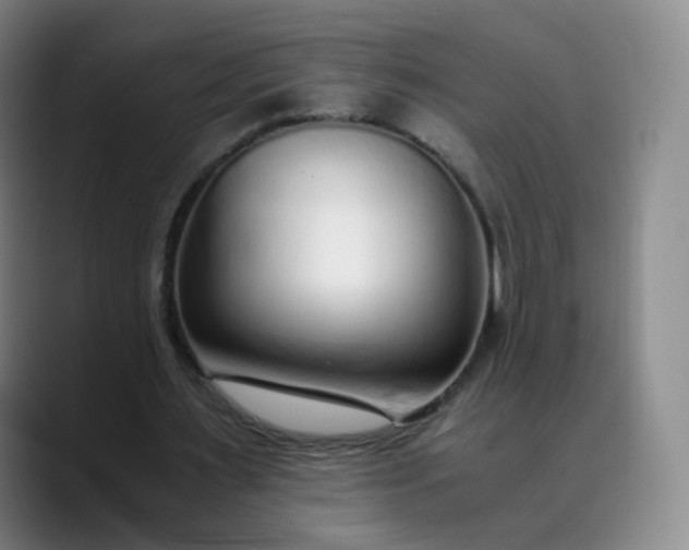 X0000089890483200707121834