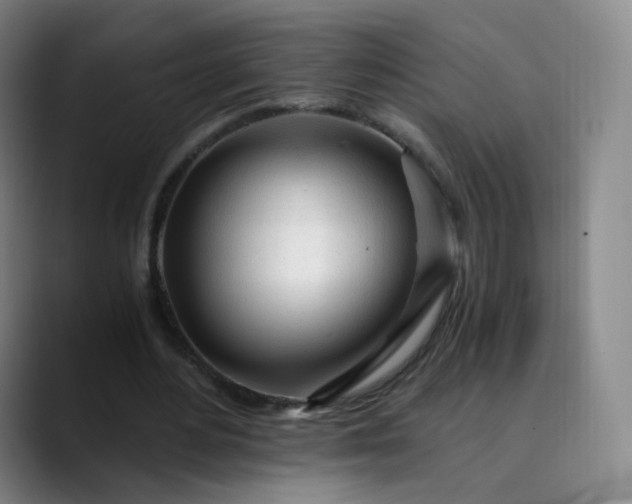 X0000089890484200707121834