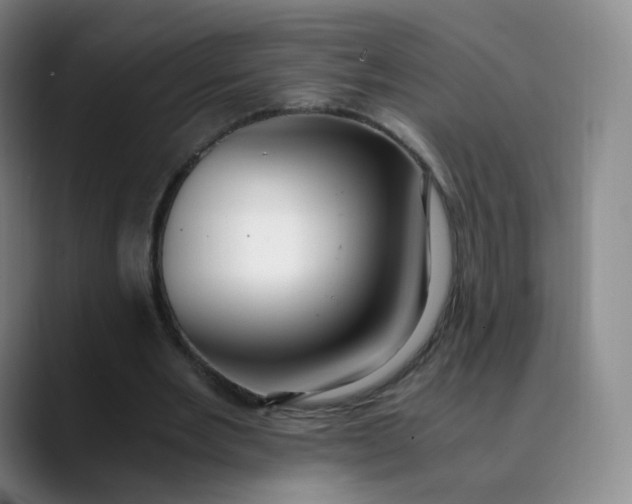 X0000089890485200707121834