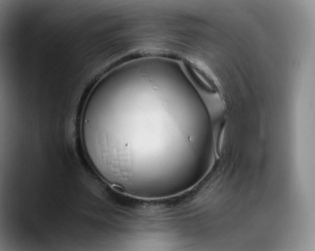 X0000089890487200707121834