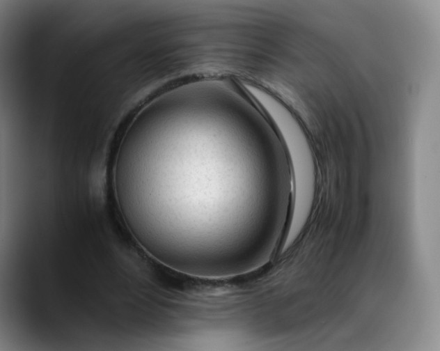 X0000089890488200707121834