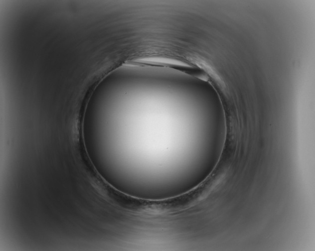 X0000089890489200707121834