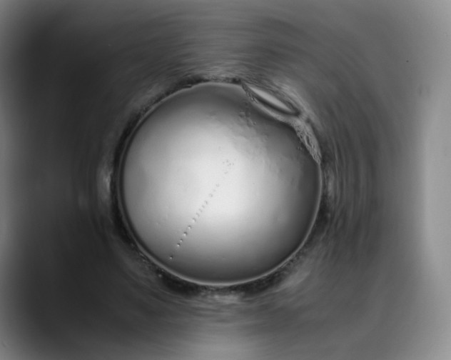 X0000089890491200707121834