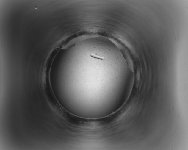 X0000089890492200707121834