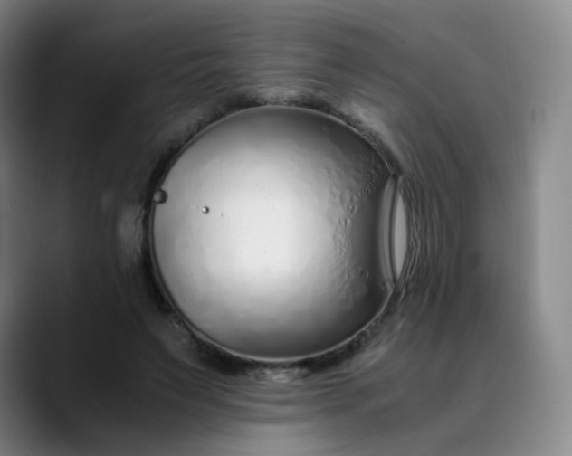 X0000089890495200707121834