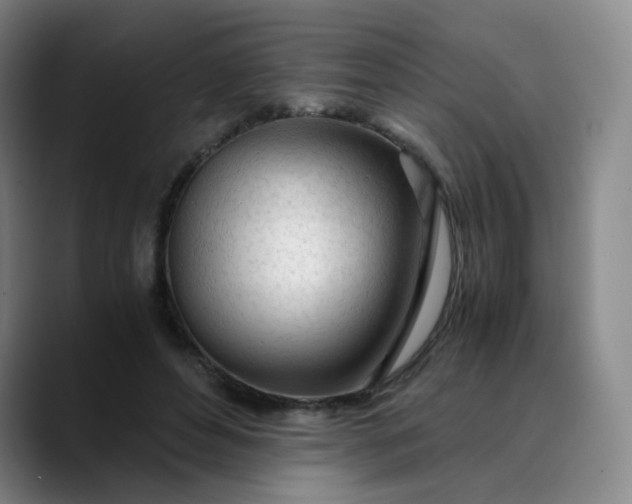 X0000089890496200707121834