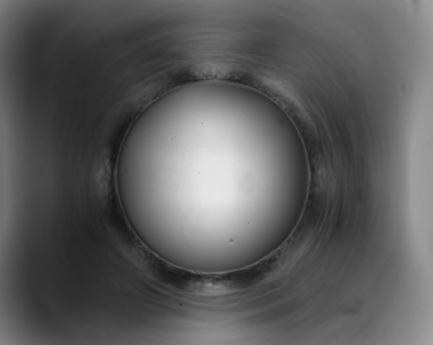 X0000089890498200707121834