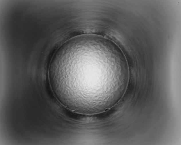 X0000089890499200707121834