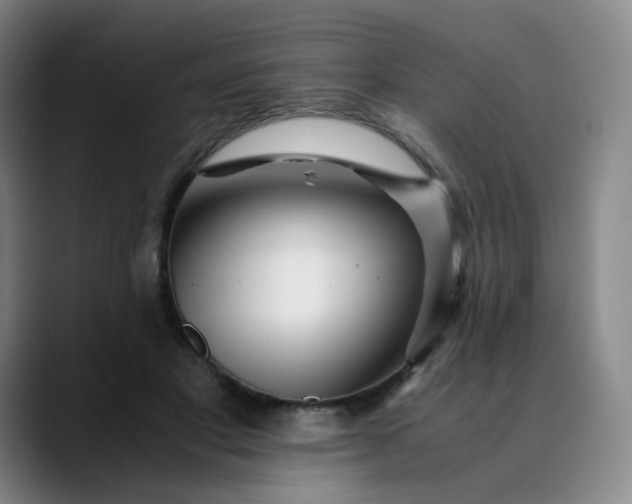 X0000089890501200707121833