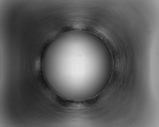 X0000089890502200707121833