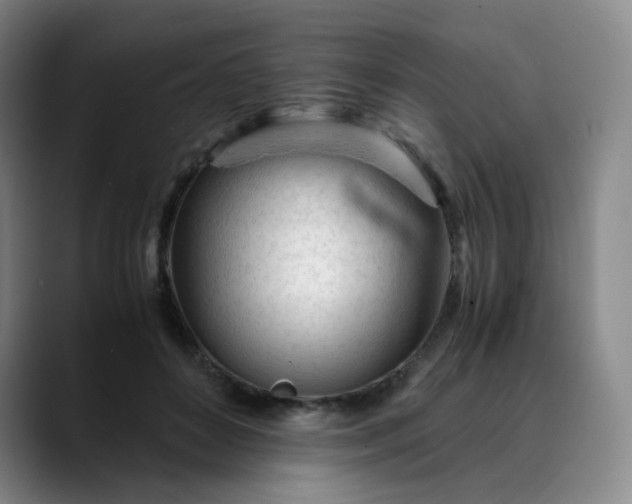 X0000089890504200707121833