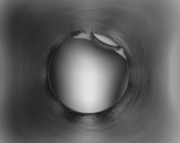 X0000089890505200707121833