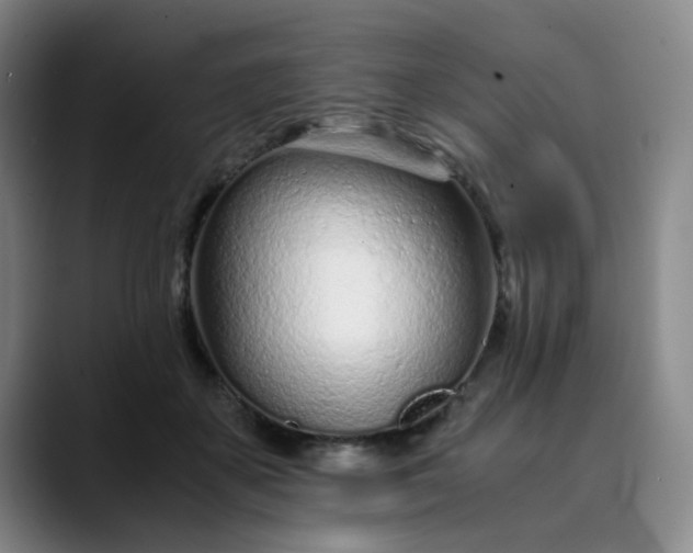 X0000089890507200707121833