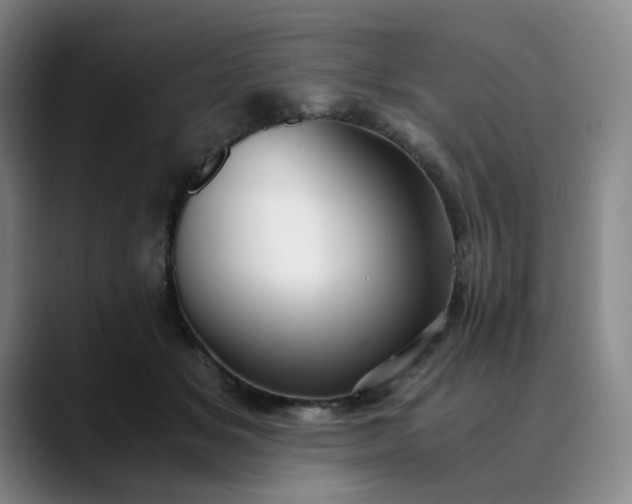 X0000089890509200707121833