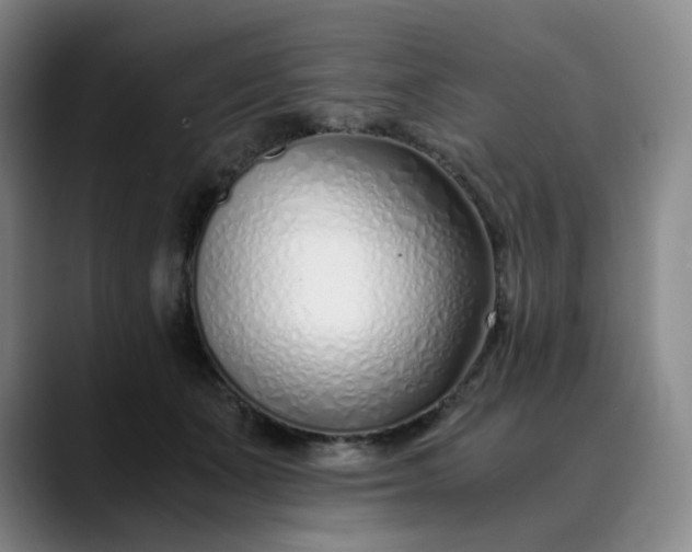 X0000089890511200707121833