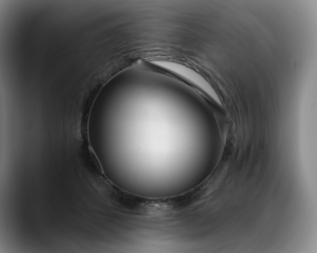 X0000089890512200707121833