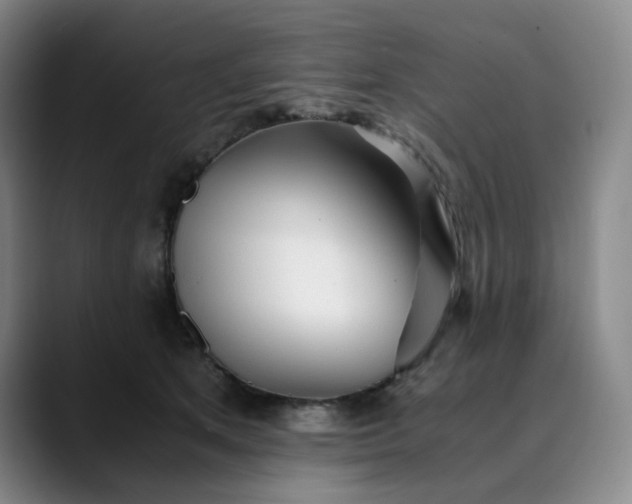 X0000089890513200707121833