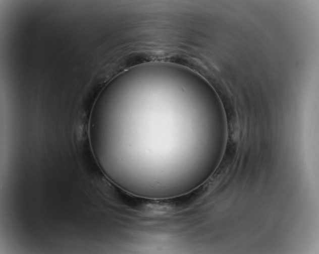 X0000089890515200707121833