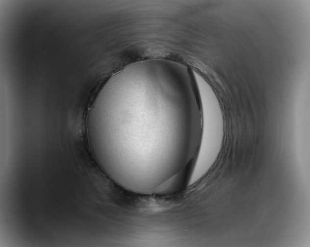 X0000089890517200707121833