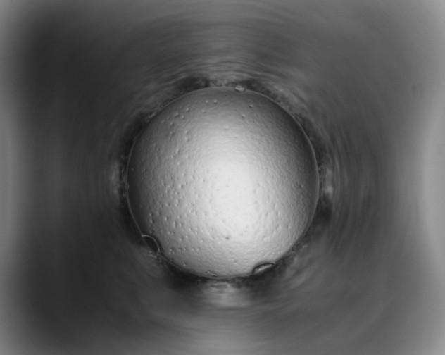 X0000089890519200707121833