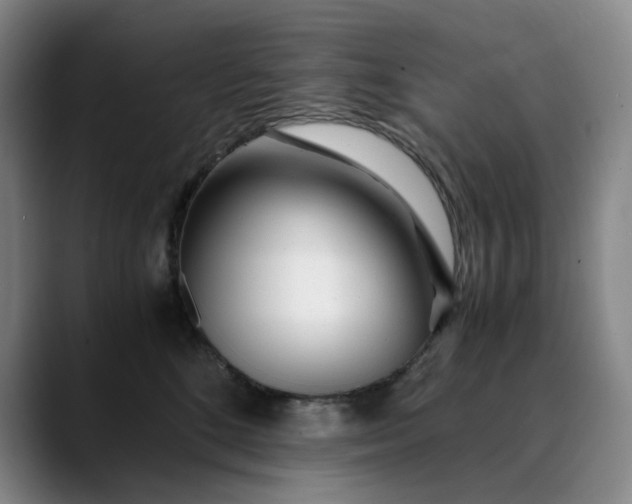 X0000089890520200707121833