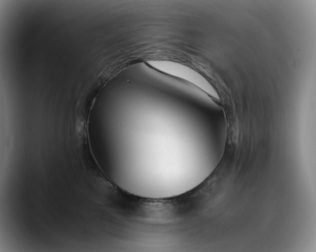 X0000089890521200707121833