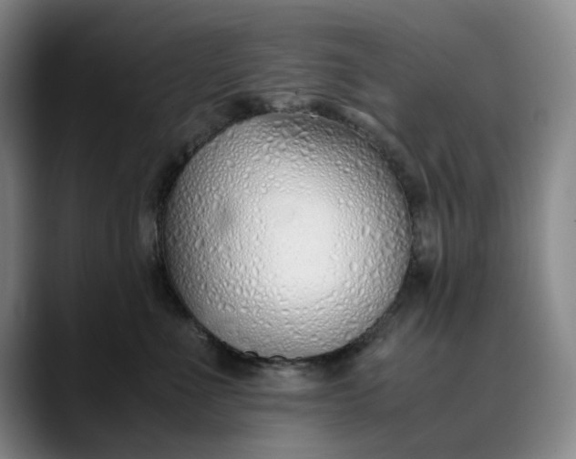 X0000089890523200707121833