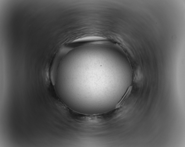 X0000089890524200707121833