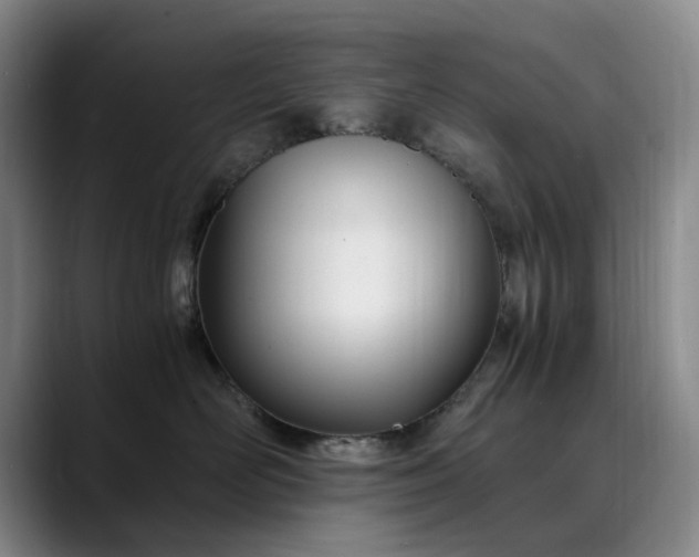 X0000089890526200707121833